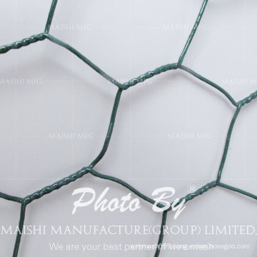 Chicken Wire Netting Protection Fence